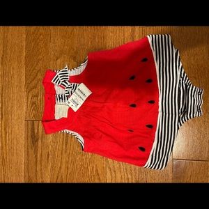 First impressions nwt dress